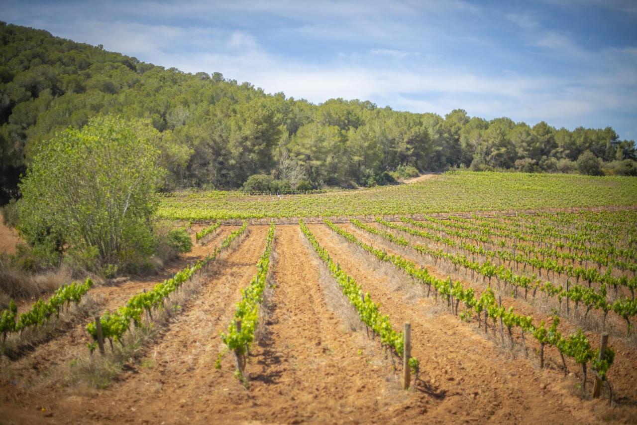 Catalunya Casas Tranquil Nature "Feel" , Yet Only 4 Min To Beach! Calafell Exterior foto